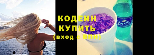МДПВ Липки